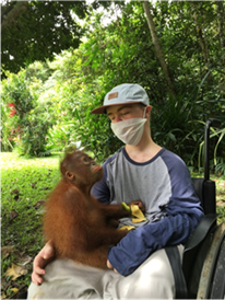 Benni can save the orangutans.