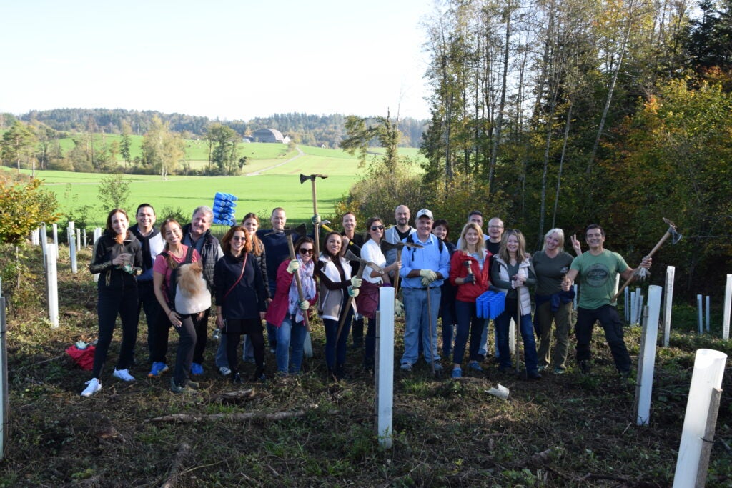 Switzerland Tree Planting