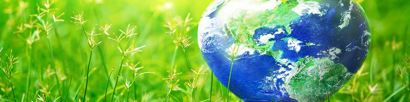 El compromiso sostenible de Alma Secret: así cuida el planeta durante todo  el año - Forbes España